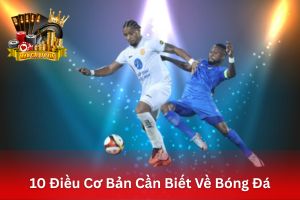 Ảnh đại diện bài viết 10 điều cơ bản cần biết về bóng đá