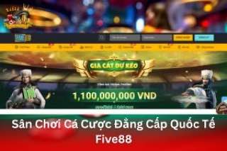 Ảnh đại diện bài viết Five88