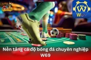 Ảnh đại diện bài viết review W69