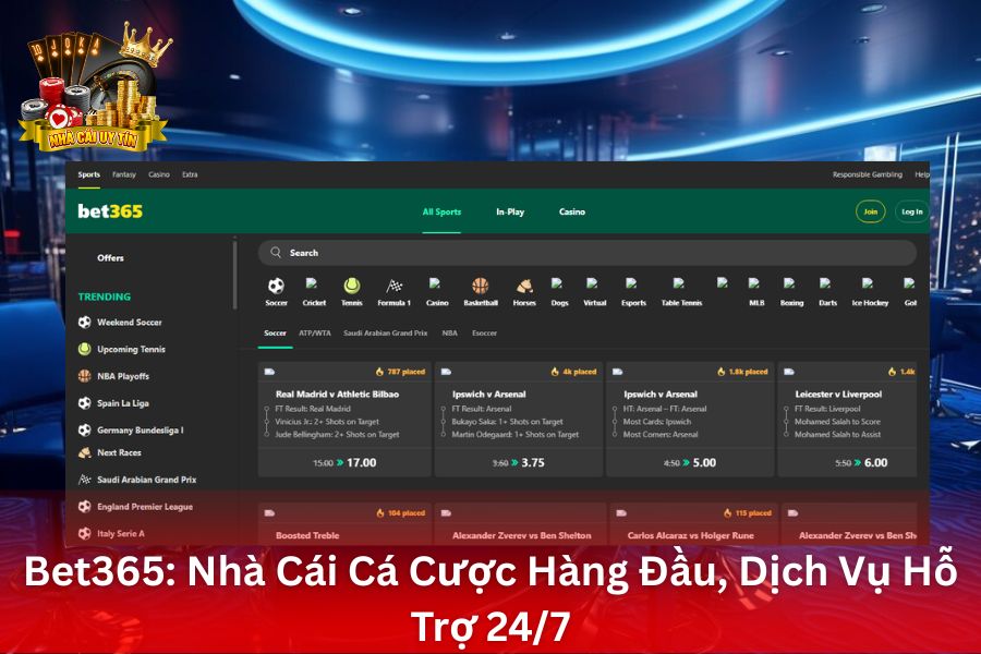 Bet365 - Nhà Cái Cá Cược Hàng Đầu, Dịch Vụ Hỗ Trợ 24/7