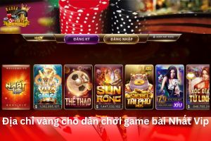 Ảnh đại diện bài viết review Nhất Vip