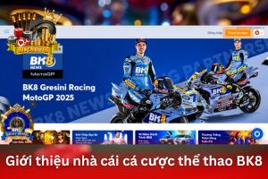 Ảnh đại diện bài viết BK8