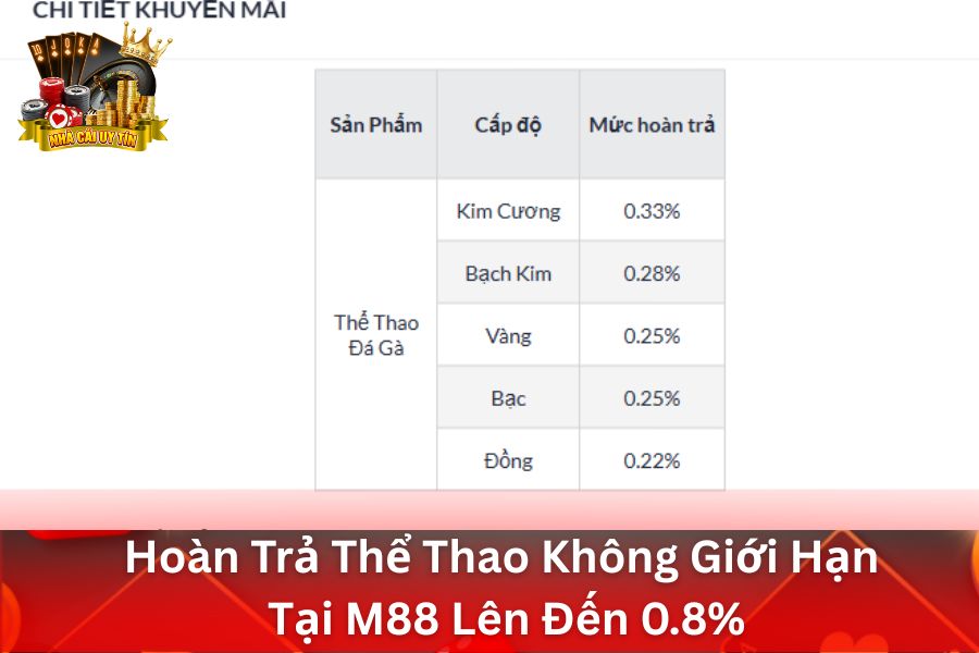 Hoàn Trả Thể Thao Không Giới Hạn Tại M88 - Hoàn trả hàng ngày lên đến 0.8%