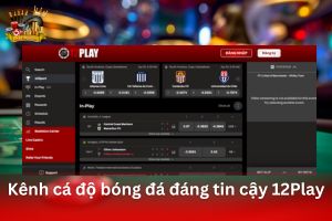 Ảnh đại diện bài viết review 12Play