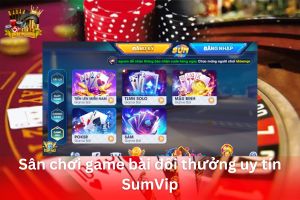Ảnh đại diện bài viết review SumVip