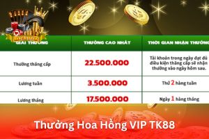 Ảnh đại diện bài viết Thưởng Hoa Hồng VIP TK88