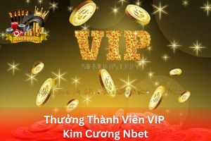 Ảnh đại diện bài viết thưởng thành viên VIP kim cương NBet