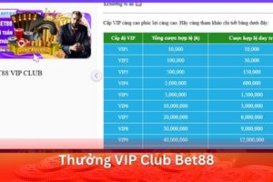 Ảnh đại diện bài viết thưởng VIP Club Bet88