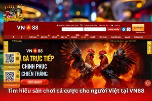 Ảnh đại diện bài viết review Vn88