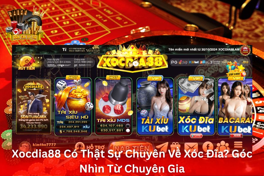 Xocdia88 Có Thật Sự Chuyên Về Xóc Đĩa? Góc Nhìn Từ Chuyên Gia